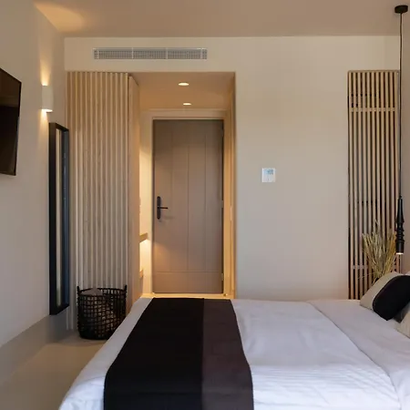 Hotiday Mykonos South Coast 酒店