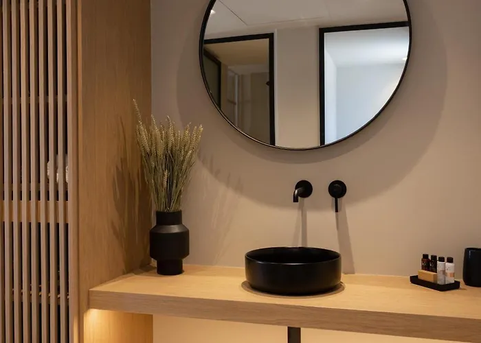 酒店 Hotiday Mykonos South Coast